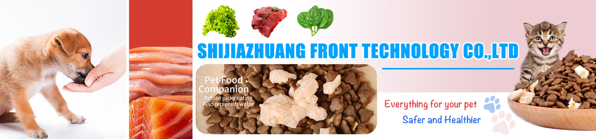 Shijiazhuang Front Technology Co.,Ltd