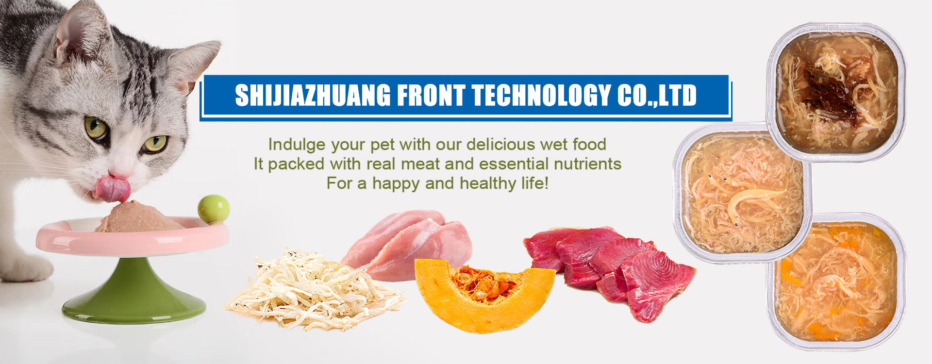 Shijiazhuang Front Technology Co.,Ltd