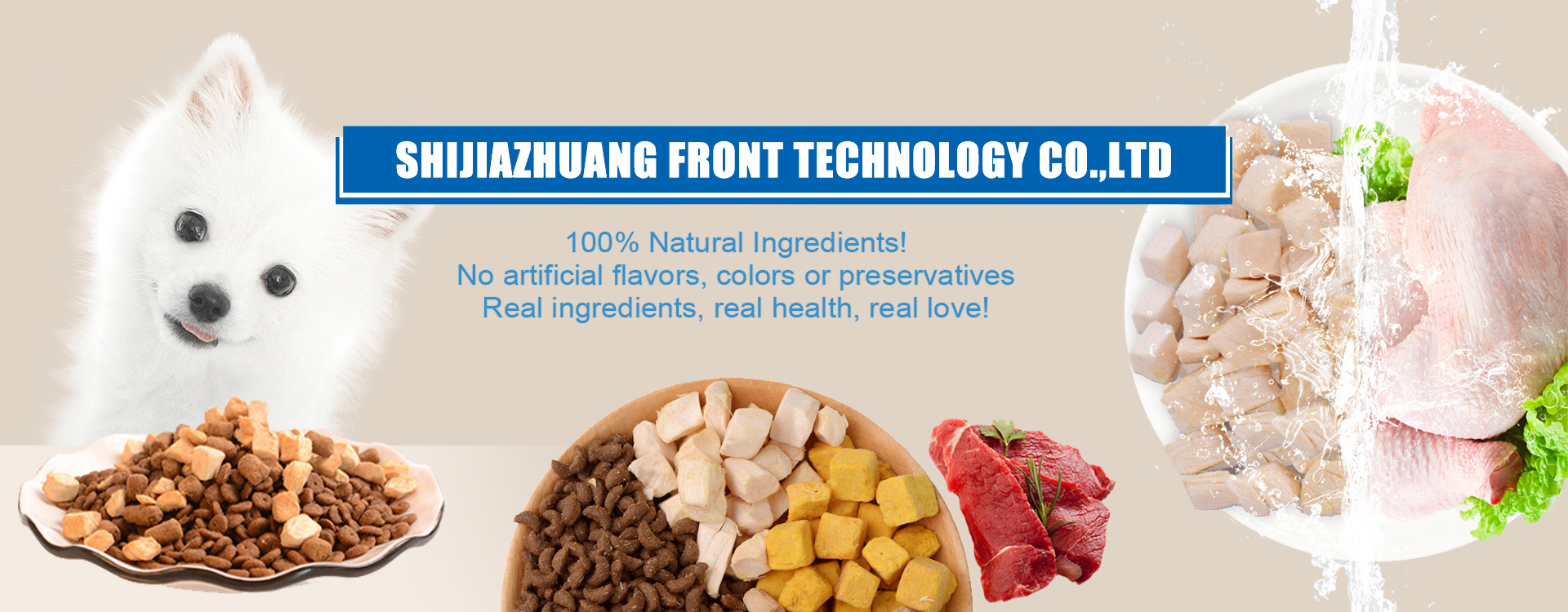 Shijiazhuang Front Technology Co.,Ltd